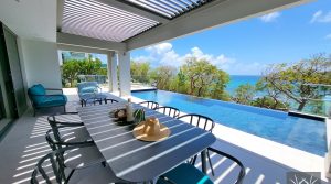 Gommier Rouge Gommier Rouge